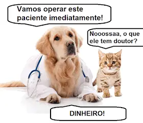 Memes engraçados de animais cão medico 
