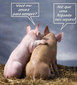 Memes engraçados de animais porcos