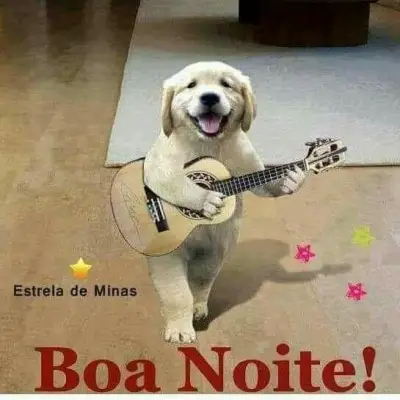 Cachorro com violão 