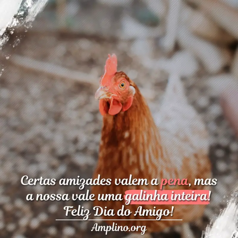 Certas amizades valem a pena, mas a nossa vale uma galinha inteira! Feliz Dia do Amigo!