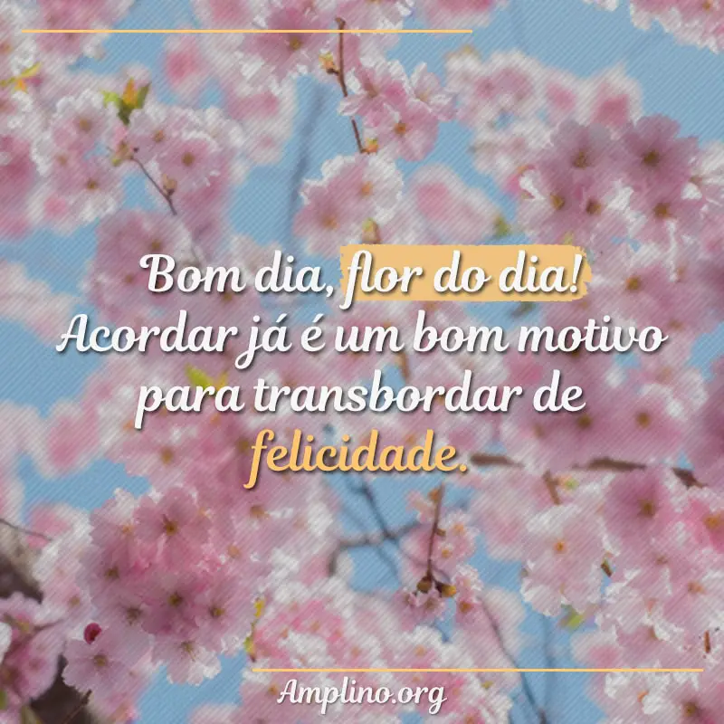 36 Frases de Bom Dia Flor do Dia - Imagens de Bom Dia Flor do Dia