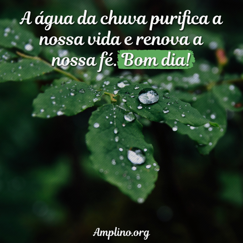 A água da chuva purifica a nossa vida e renova a nossa fé. Bom dia!