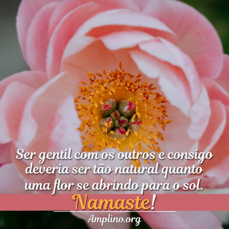 Ser gentil com os outros e consigo deveria ser tão natural quanto uma flor se abrindo para o sol. Namaste!