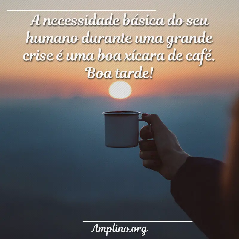 A necessidade básica do seu humano durante uma grande crise é uma boa xícara de café. Boa tarde!