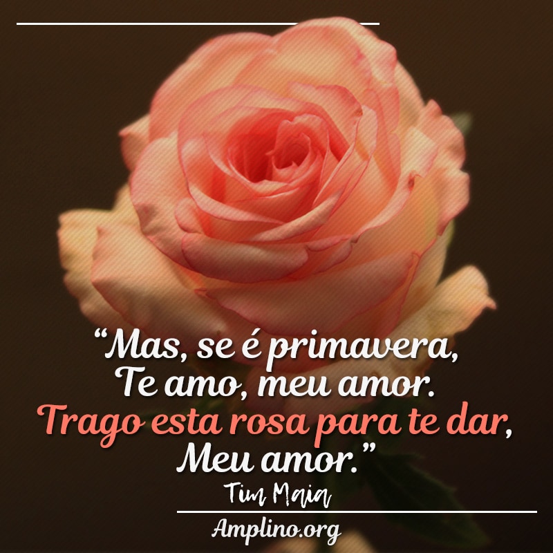 “Mas, se é primavera, Te amo, meu amor; Trago esta rosa para te dar, Meu amor” - Tim Mais