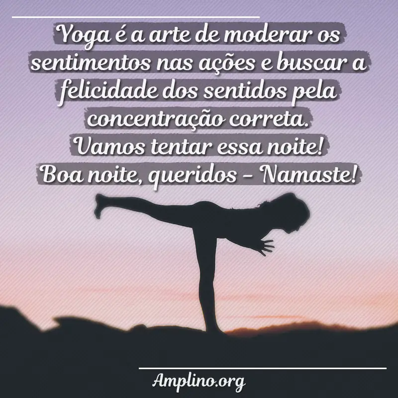 Yoga é a arte de moderar os sentimentos nas ações e buscar a felicidade dos sentidos pela concentração correta. Vamos tentar essa noite!